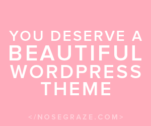 You deserve a beautiful WordPress theme