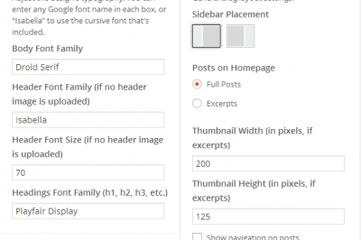 Settings within the WordPress Customizer